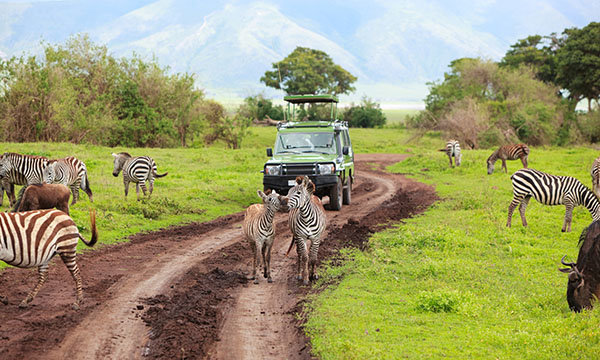 tanzania-adventure-tours-sm-comp